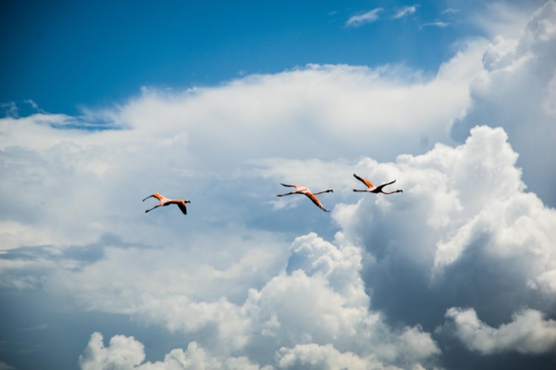 Natuur- en landschapsfotografie door FotoVervuurt — foto 9