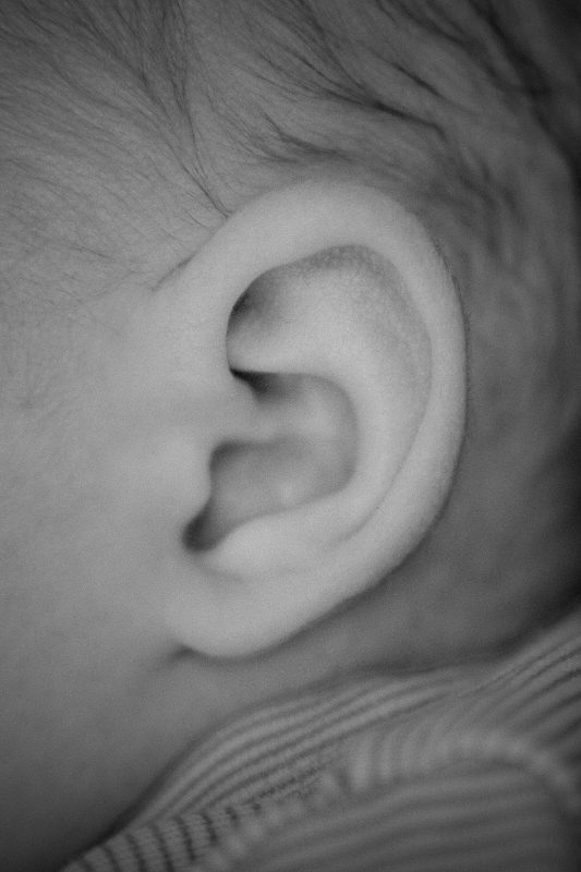 Newborn — gefotografeerd door FotoVervuurt — foto 9